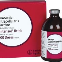 Enterisol Ileitis