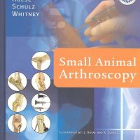 Small Animal Arthroscopy
